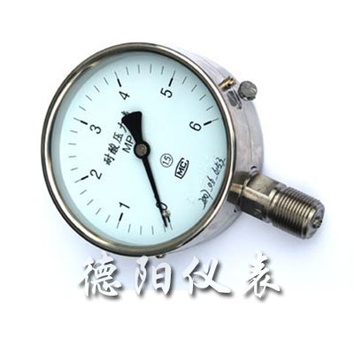 耐腐耐高温压力表